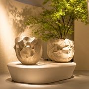 JANUS / JANUA gallery detail image
