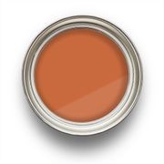 Jester gallery detail image