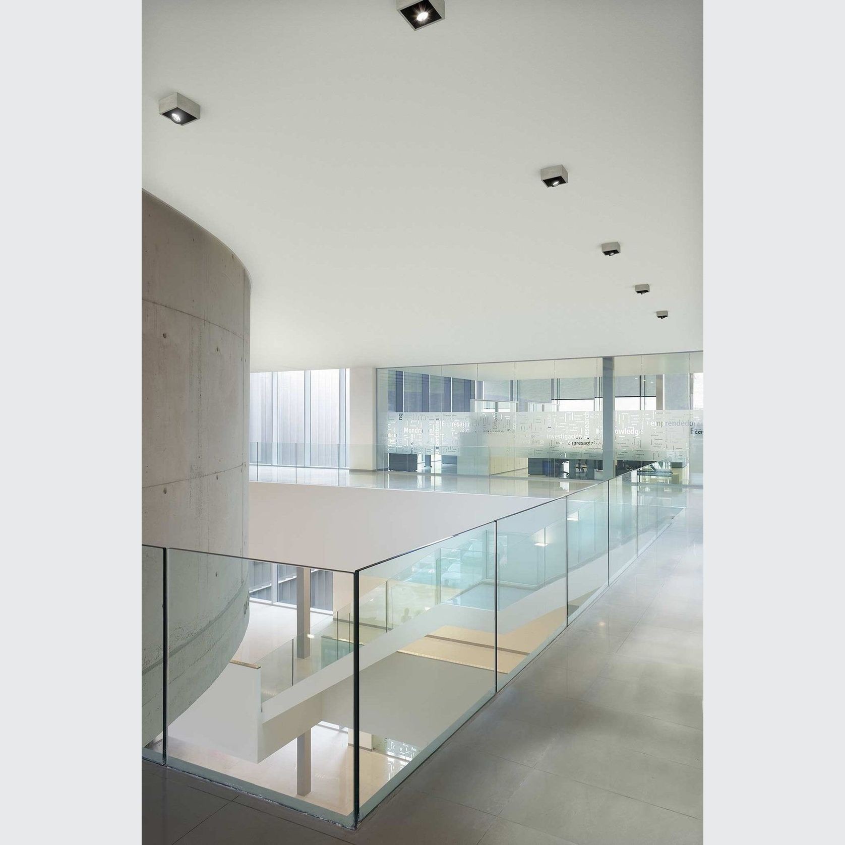 Johnny Square gallery detail image