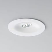 K9 Self Testing Emergency Light gallery detail image