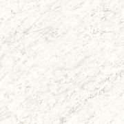 Veined White gallery detail image