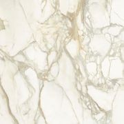 Maxfine Calacatta Oro Panels gallery detail image