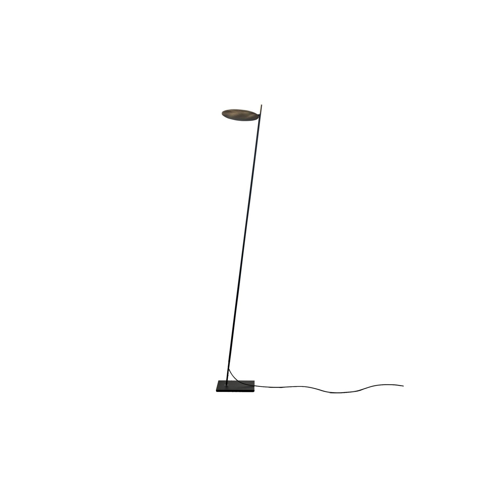 Lederam F0 gallery detail image