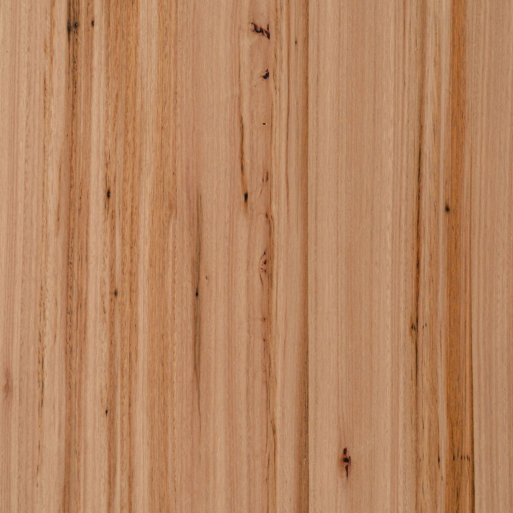 Blackbutt High Feature | Clear | Lignapal Panels gallery detail image