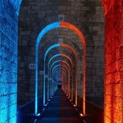 Linealuce Mini gallery detail image