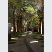 Linealuce Compact gallery detail image