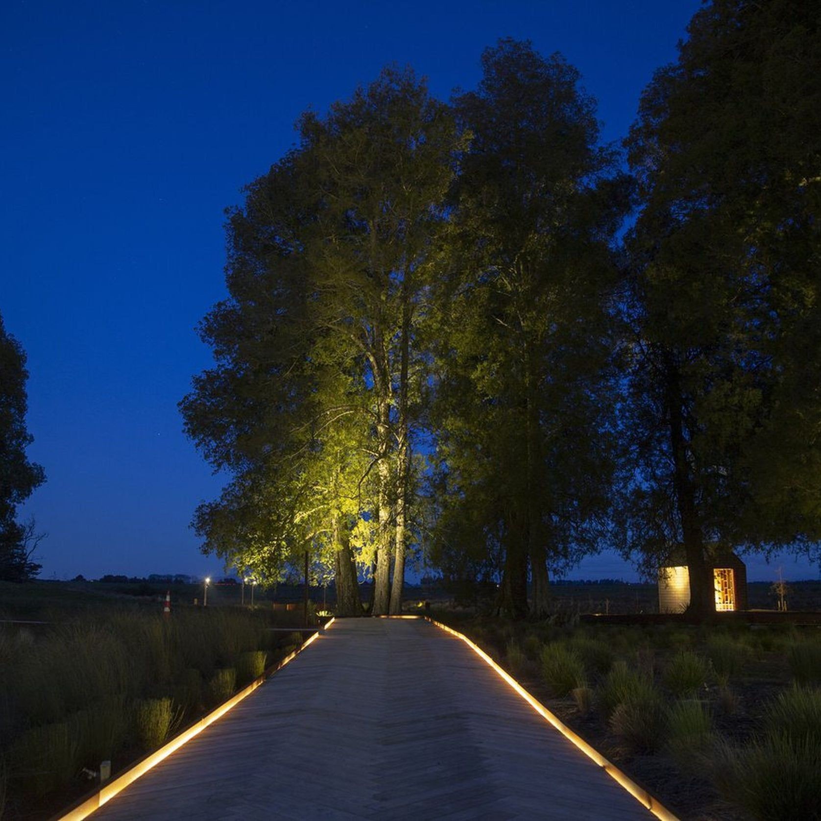 Linealuce Compact gallery detail image