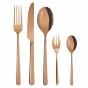 Linear PVD Copper 30 Piece Set gallery detail image