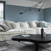 Jan's New Sofa gallery detail image