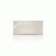 Liquid Shell'22 KC gallery detail image