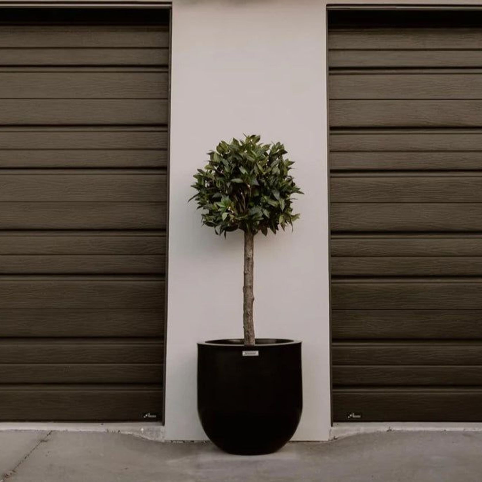 Lisbon 500 Planter gallery detail image