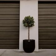 Lisbon 500 Planter gallery detail image