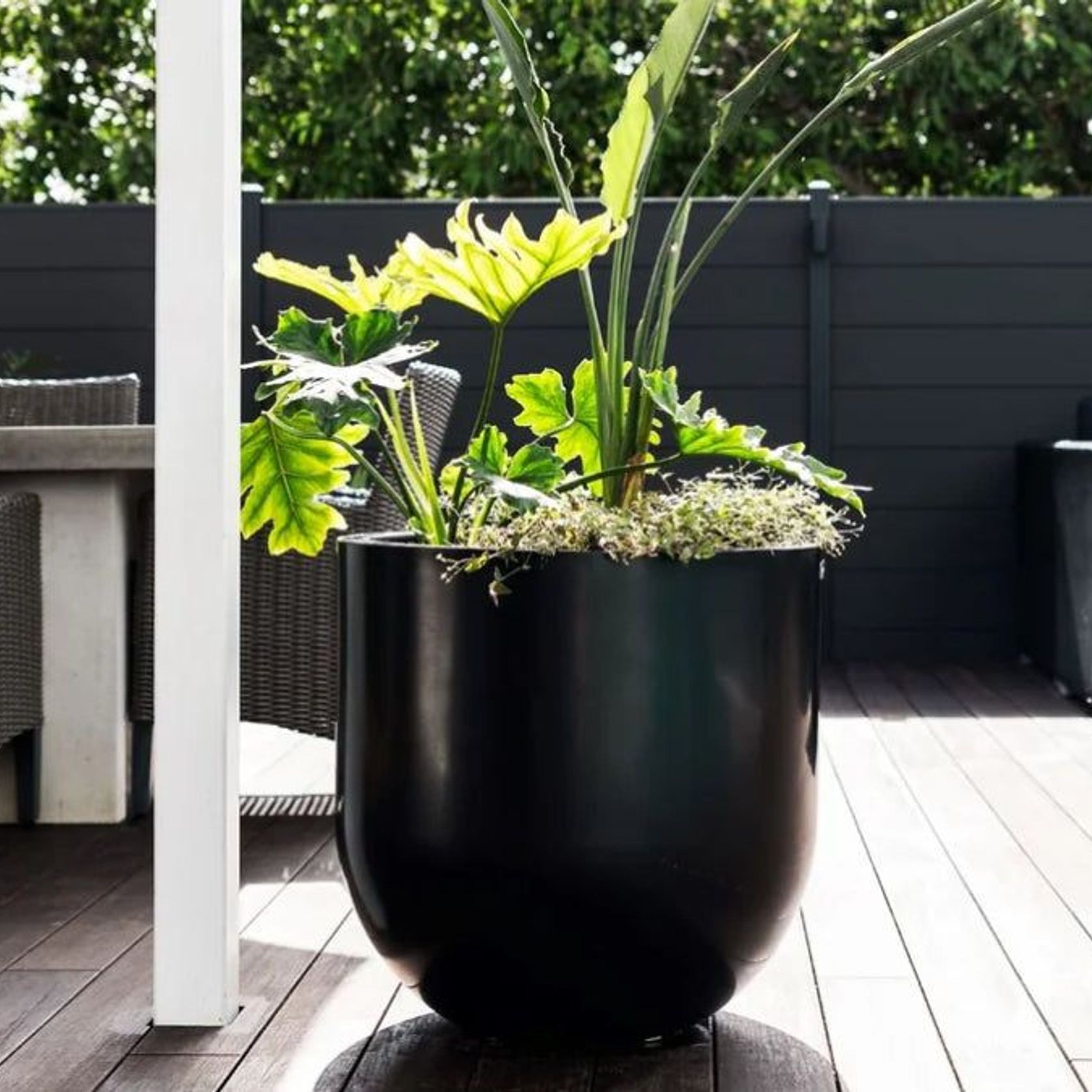 Lisbon 600 Planter gallery detail image