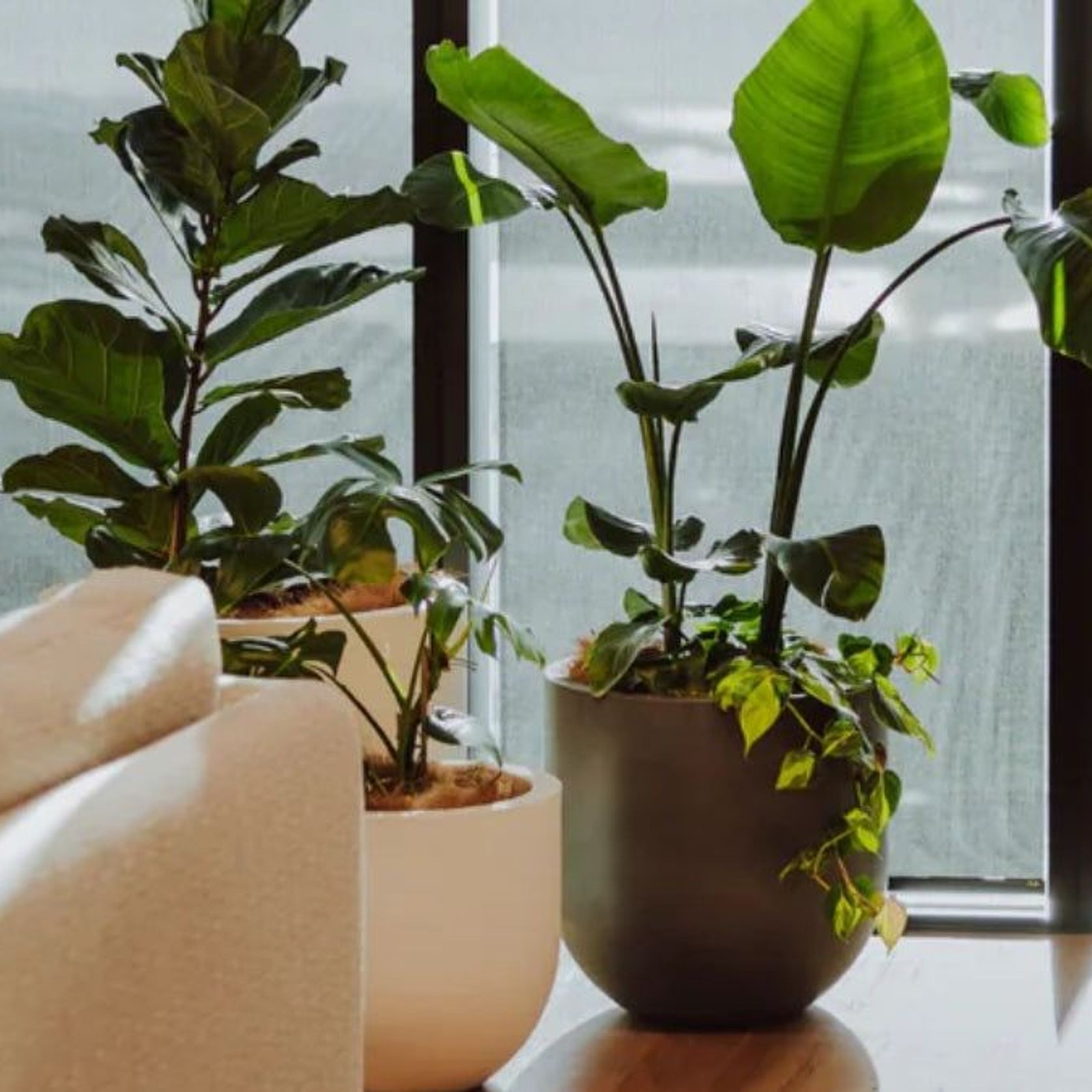 Lisbon Cluster gallery detail image