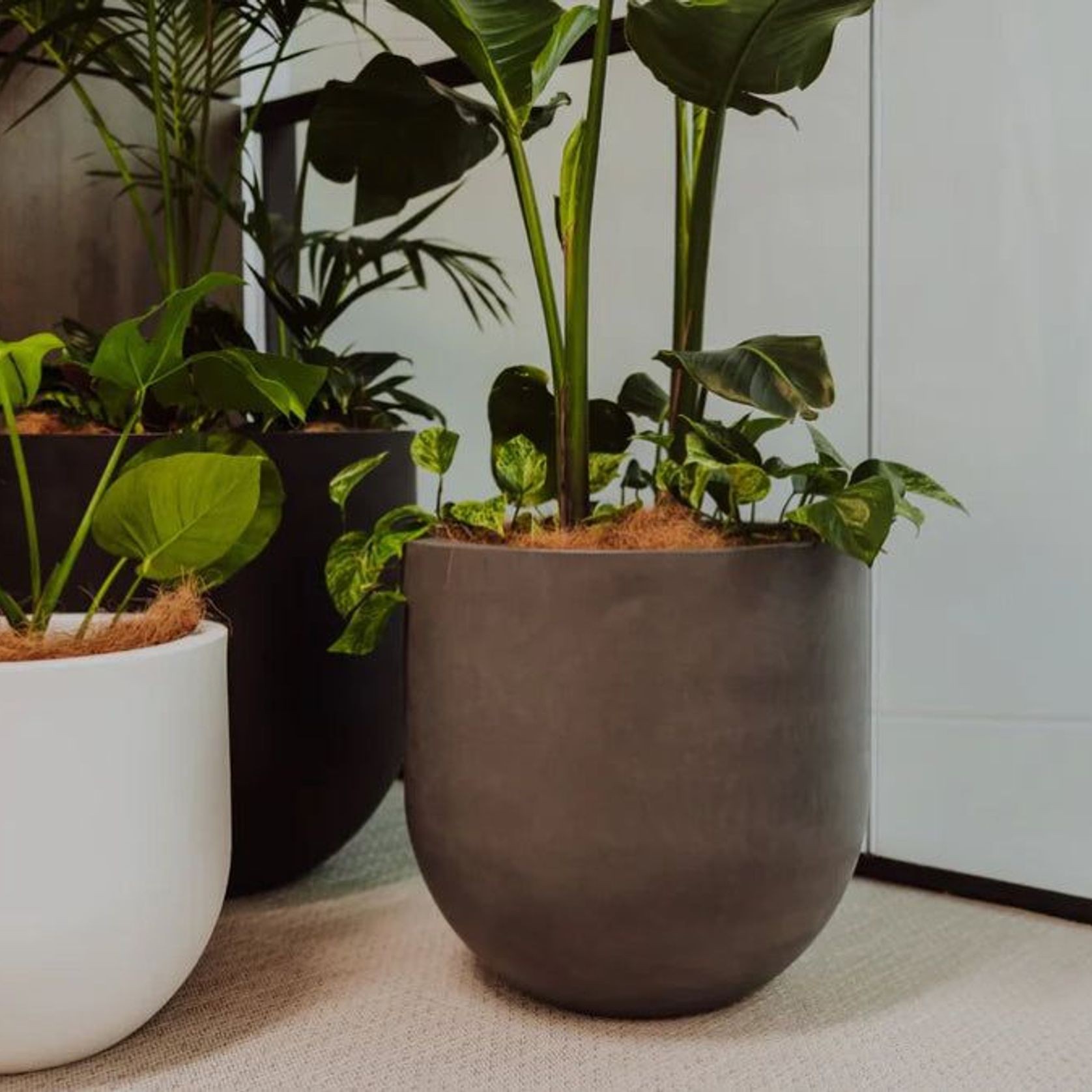 Lisbon Cluster gallery detail image