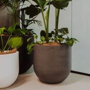 Lisbon Cluster gallery detail image