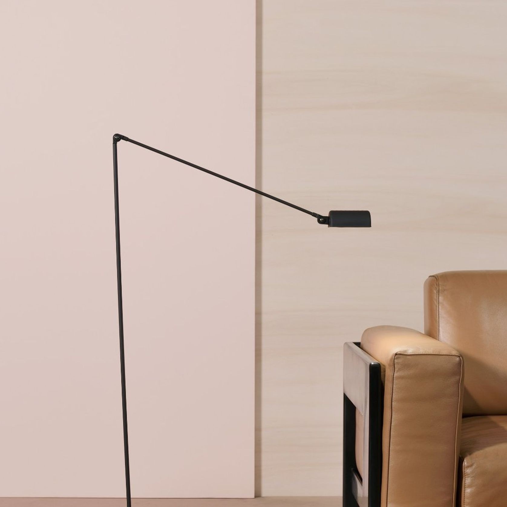 Daphine Terra gallery detail image