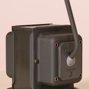 Daphine gallery detail image