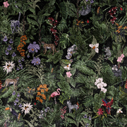 Tropics gallery detail image