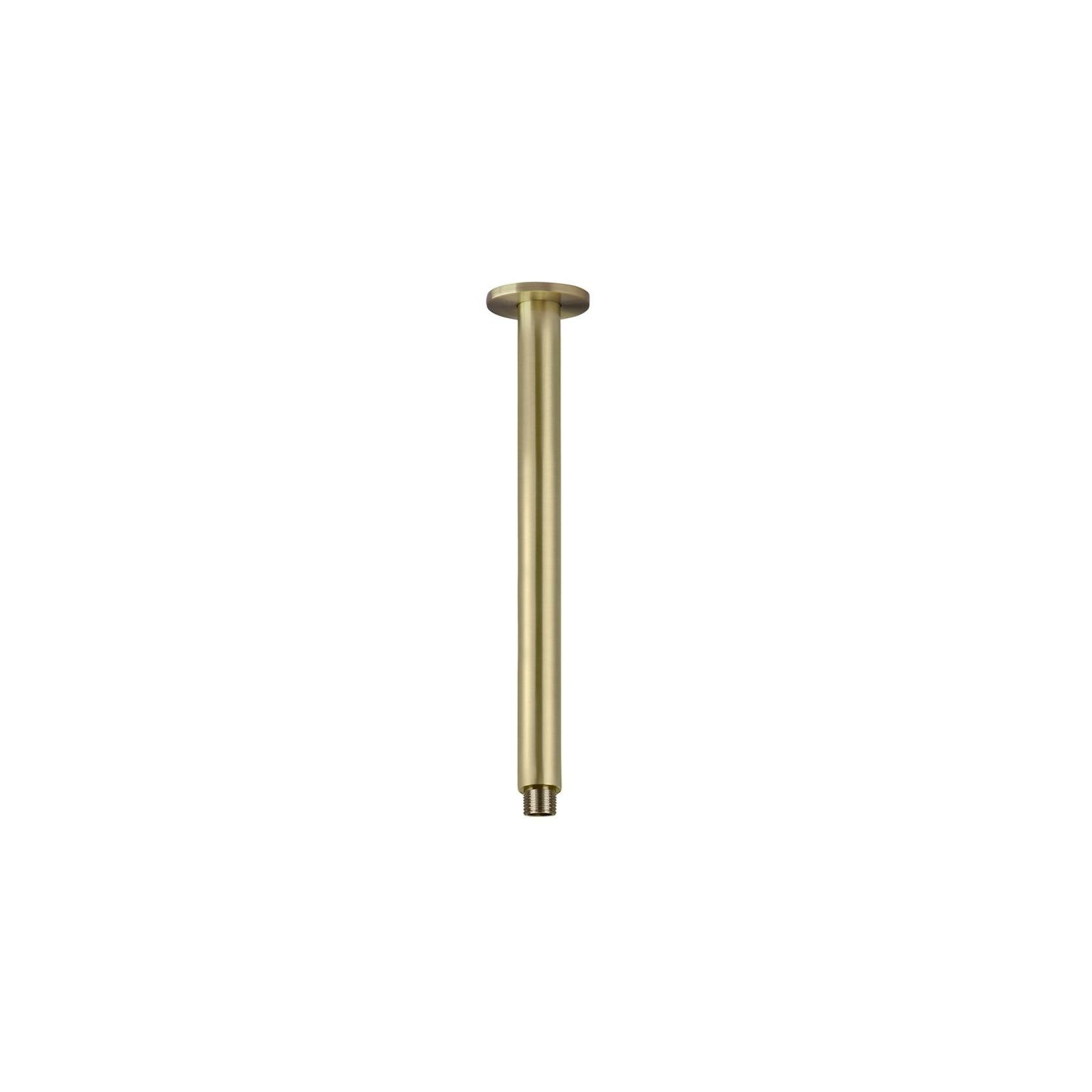 Round Ceiling Shower Arm 300mm - Tiger Bronze gallery detail image