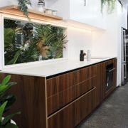 Birch Décor Walnut | Panels - Plytech Panels gallery detail image