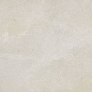 Gecko | Magic Stone White Tiles gallery detail image