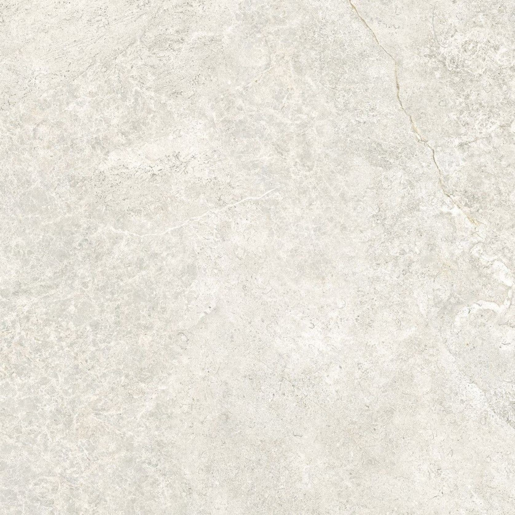 Arctic Tundra Ivory Matt 60 gallery detail image