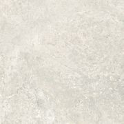 Arctic Tundra Ivory Matt 60 gallery detail image