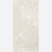 Arctic Tundra Ivory Matt 60x120 gallery detail image