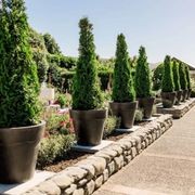 Madrid 600 Planter gallery detail image