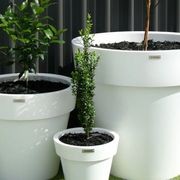 Madrid Cluster gallery detail image