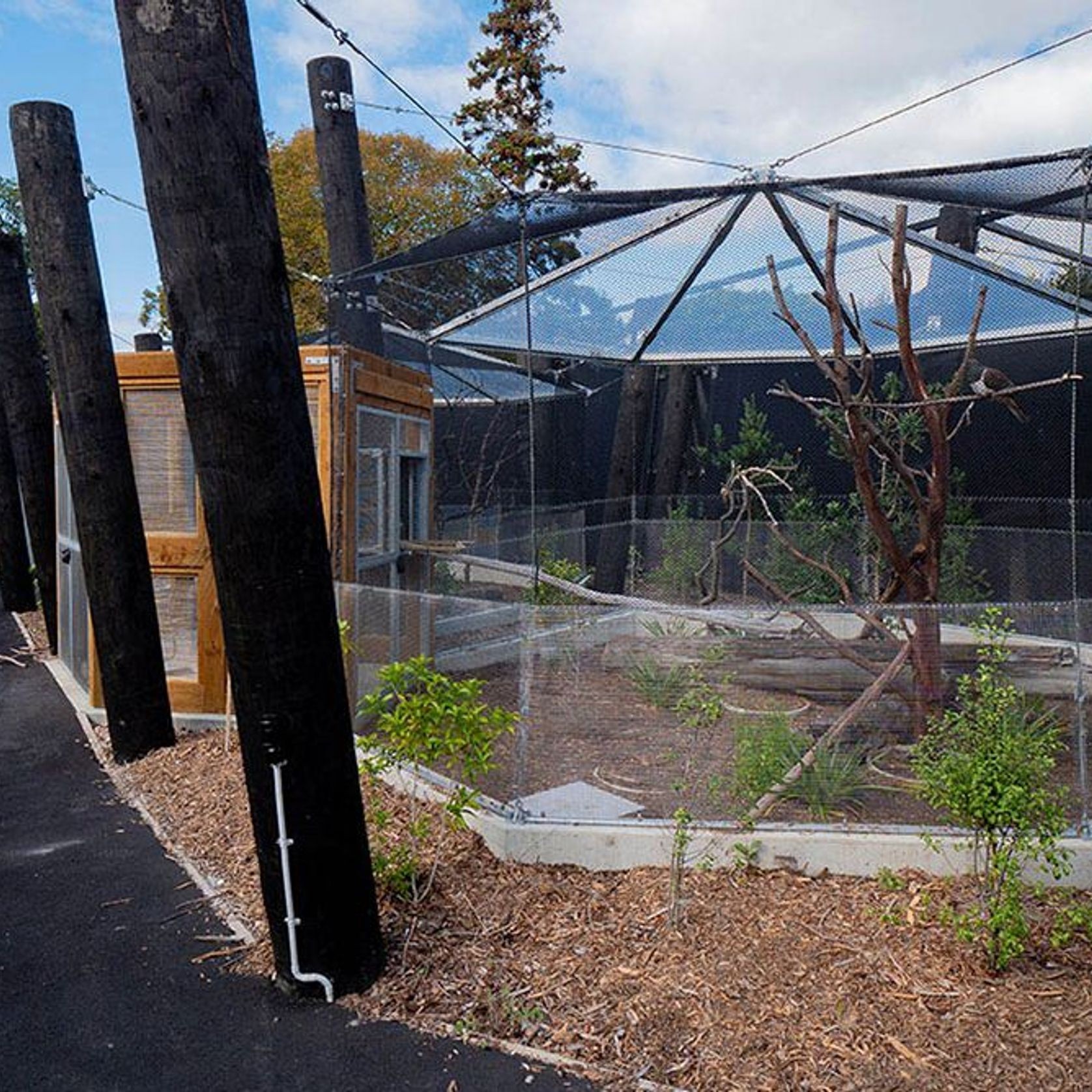 Metal Mesh by Fabric Structures gallery detail image