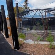 Metal Mesh by Fabric Structures gallery detail image