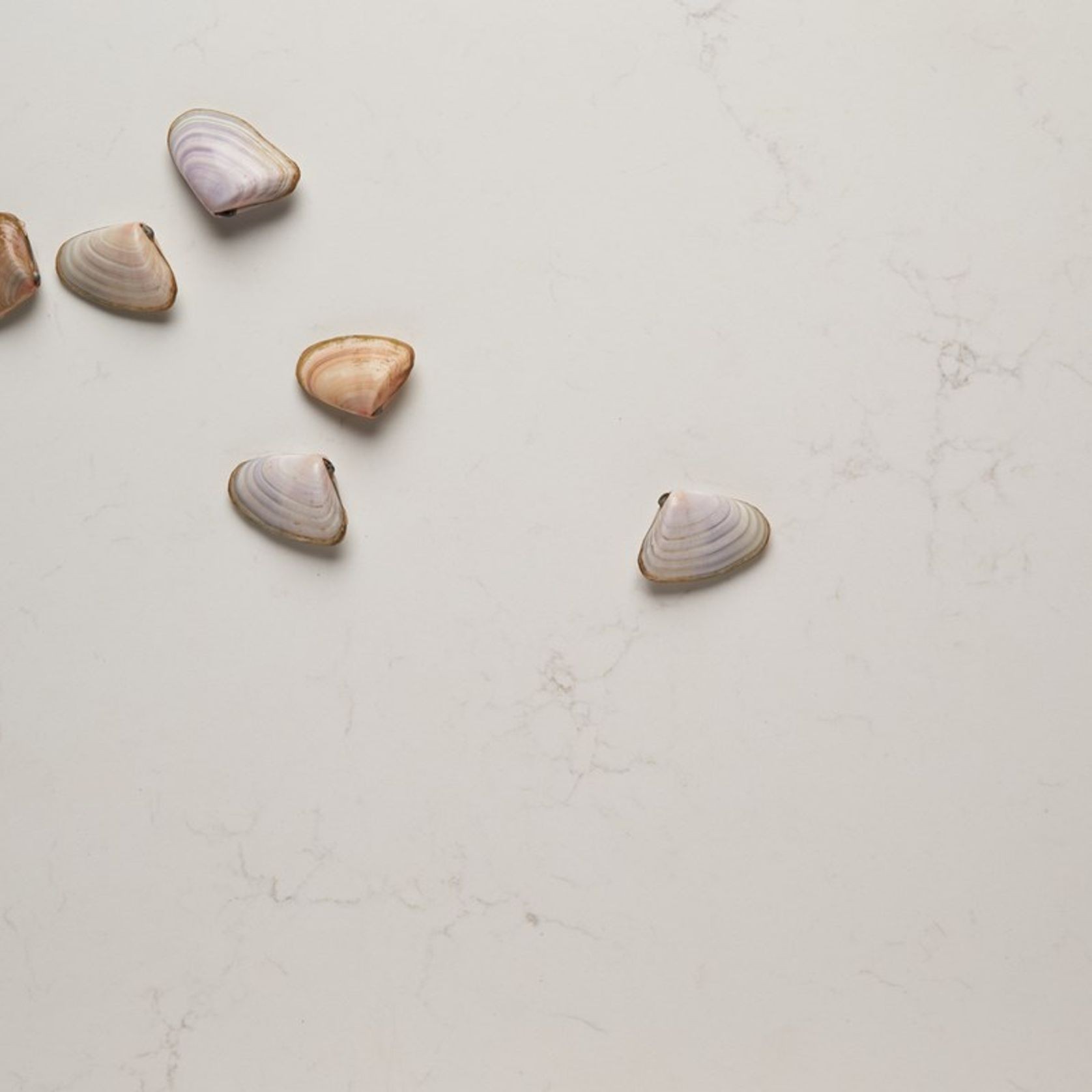 Quantum Zero | Michelangelo gallery detail image