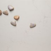 Quantum Zero | Michelangelo gallery detail image