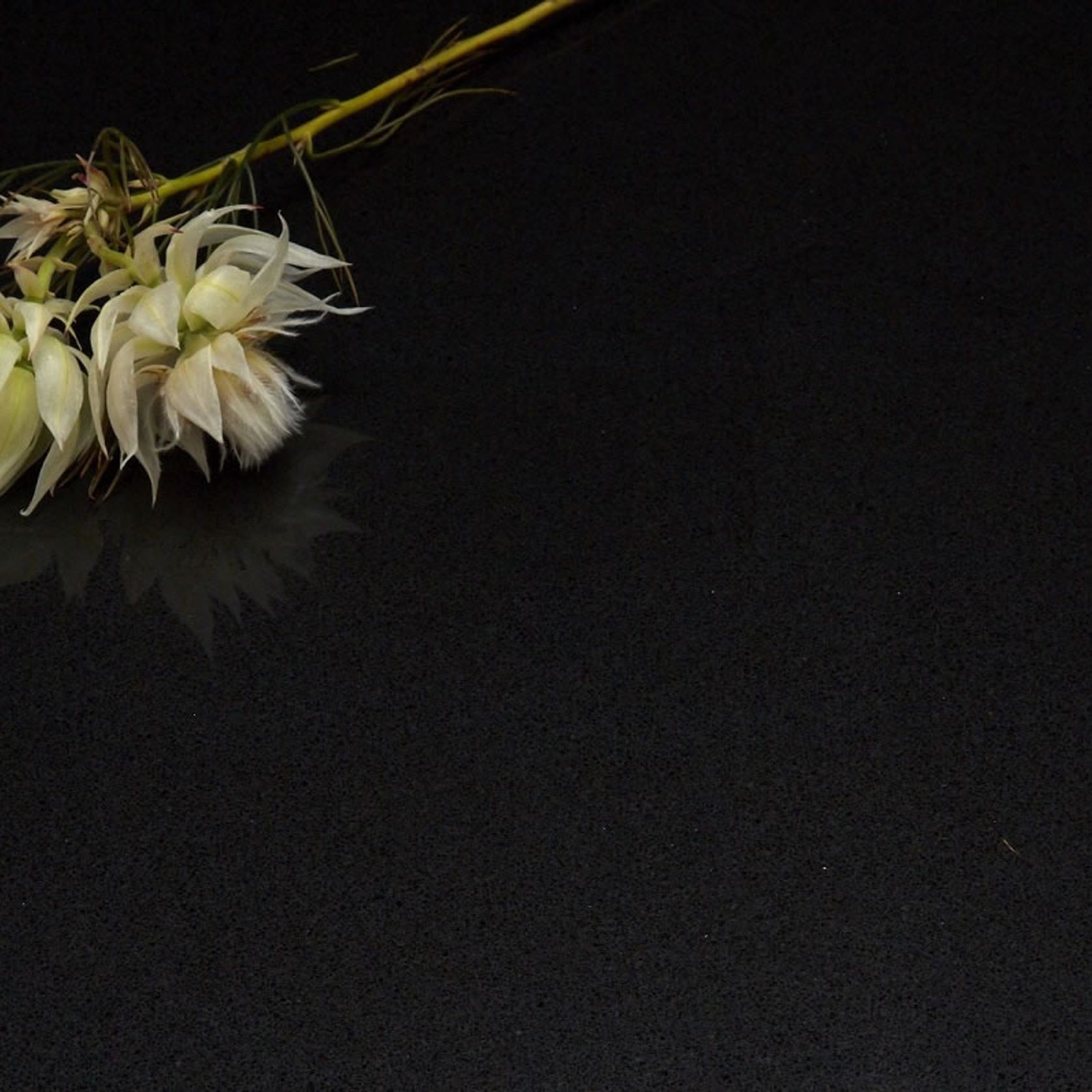 Quantum Zero | Midnight Black gallery detail image