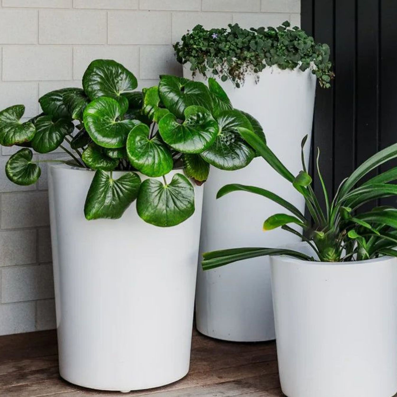 Milan Cluster gallery detail image