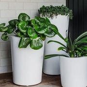 Milan Cluster gallery detail image