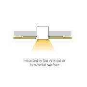 Mustang gallery detail image