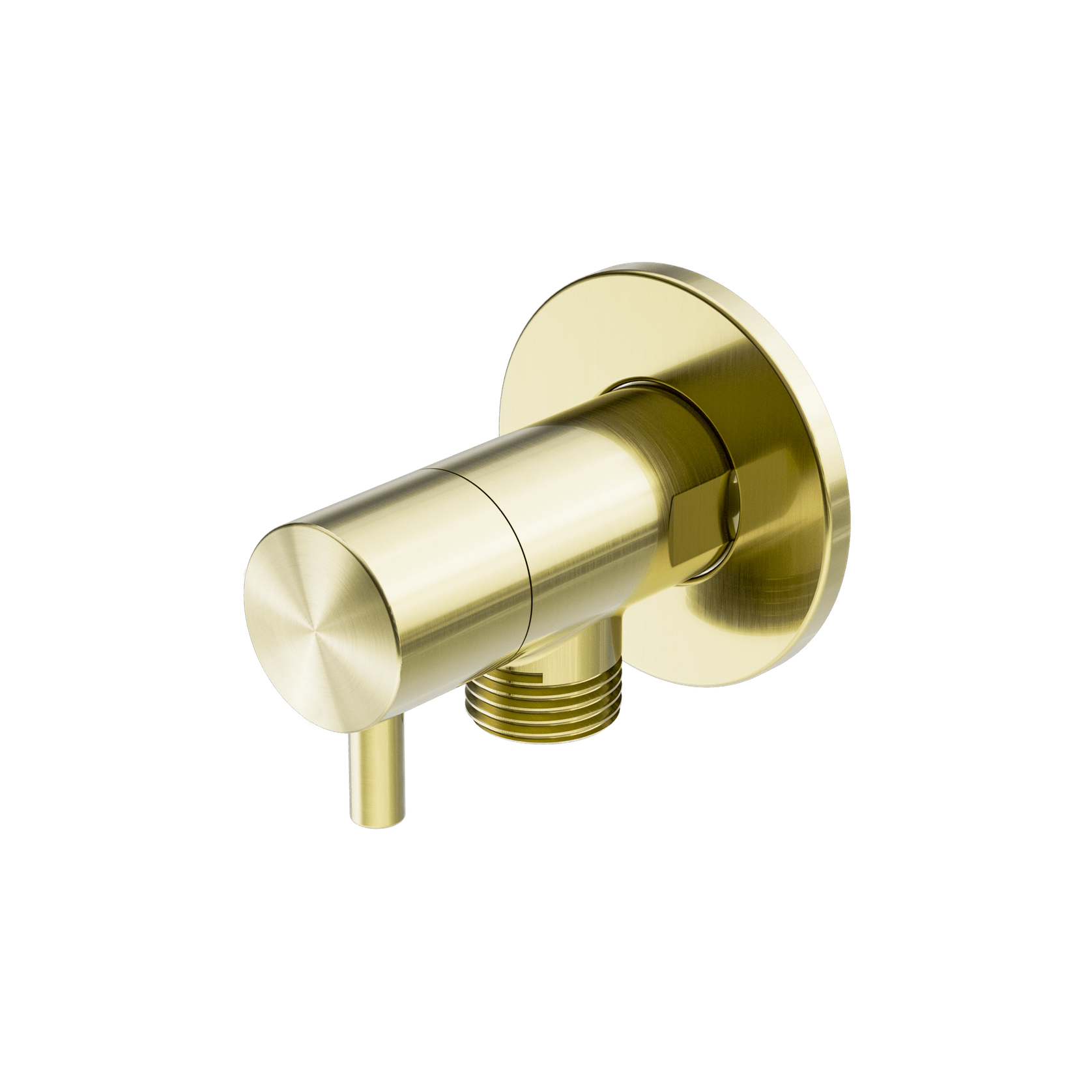 Mini Cistern Stop Brushed Gold gallery detail image