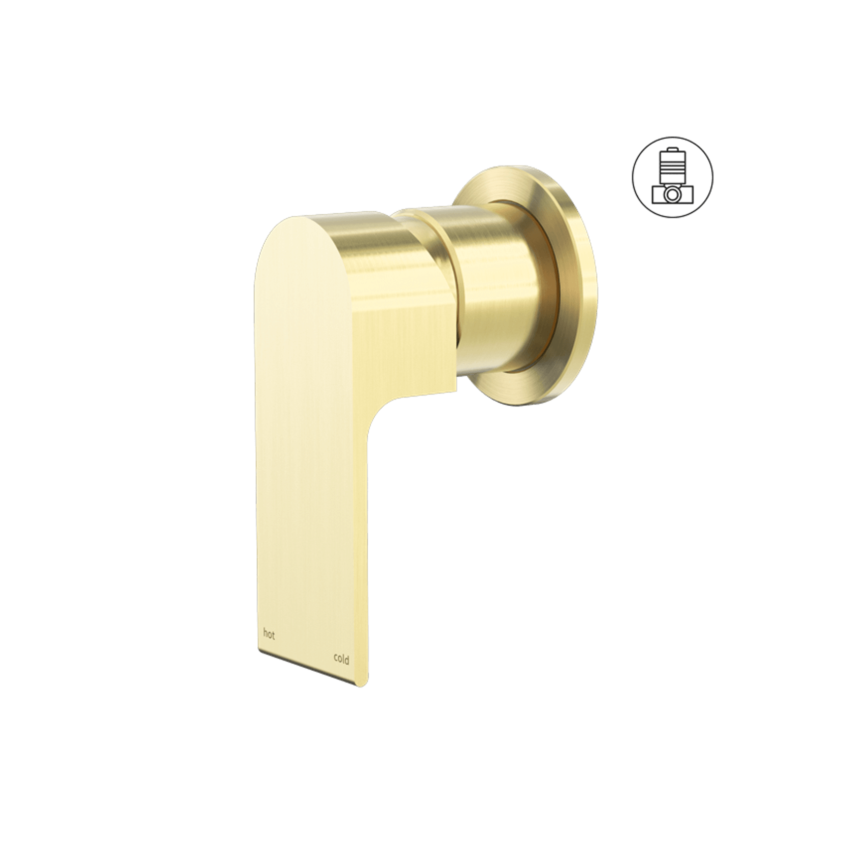 Bianca Shower Mixer 60mm Plate | Brushed Gold gallery detail image