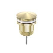 Universal Pop Up Waste Brushed Gold gallery detail image