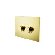 Mecca Care Raised Disabled Care Pneumatic Flush Buttons Plate DDA Compliant  Brushed Gold gallery detail image