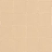 CARTER NUDE MATT 100X100MM gallery detail image