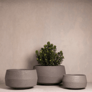 Hibernate NoMud 10 Degrees | Peat gallery detail image