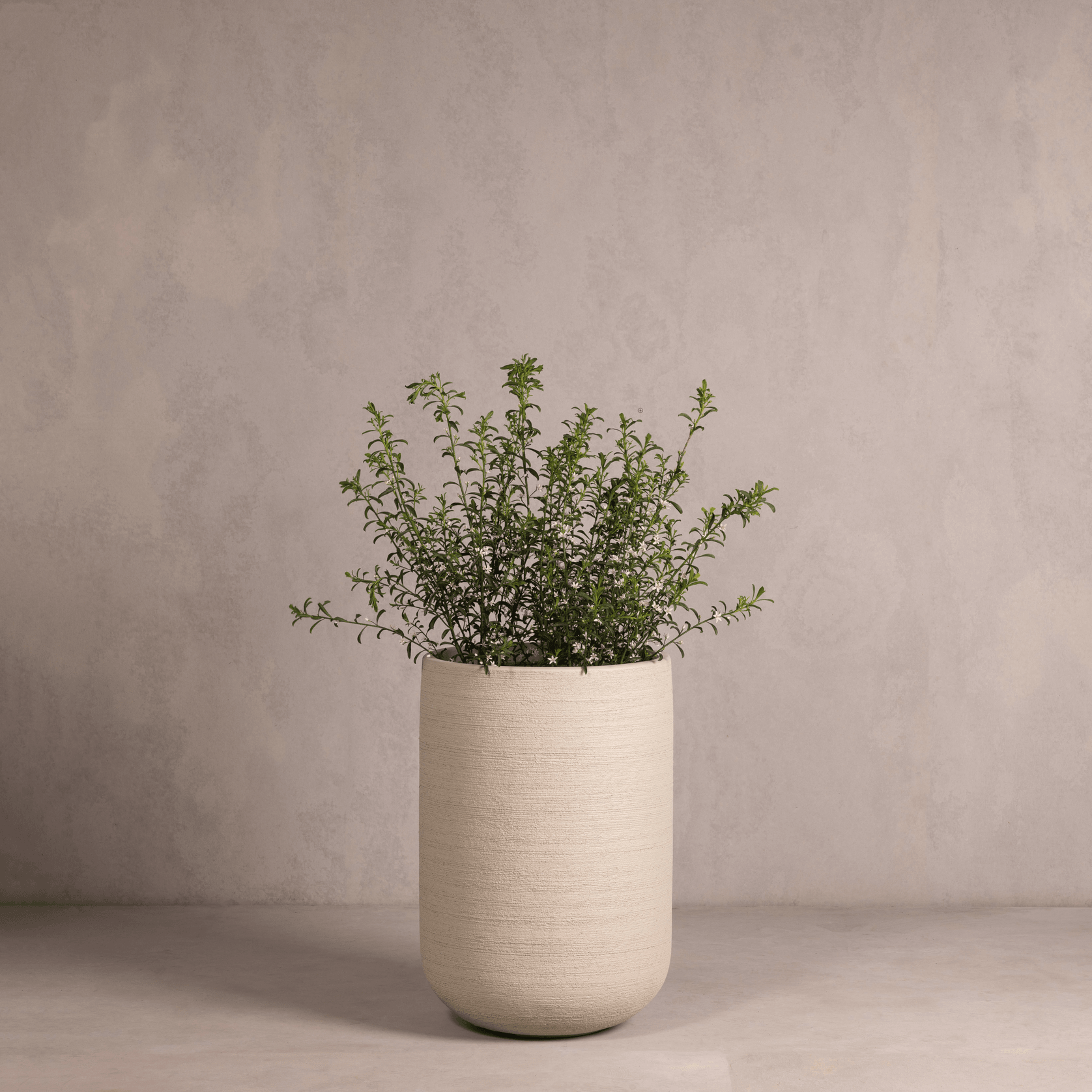 Hibernate NoMud 86 Degrees | Chalk gallery detail image