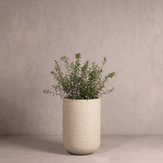 Hibernate NoMud 86 Degrees | Chalk gallery detail image