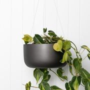 Oslo Hanger gallery detail image