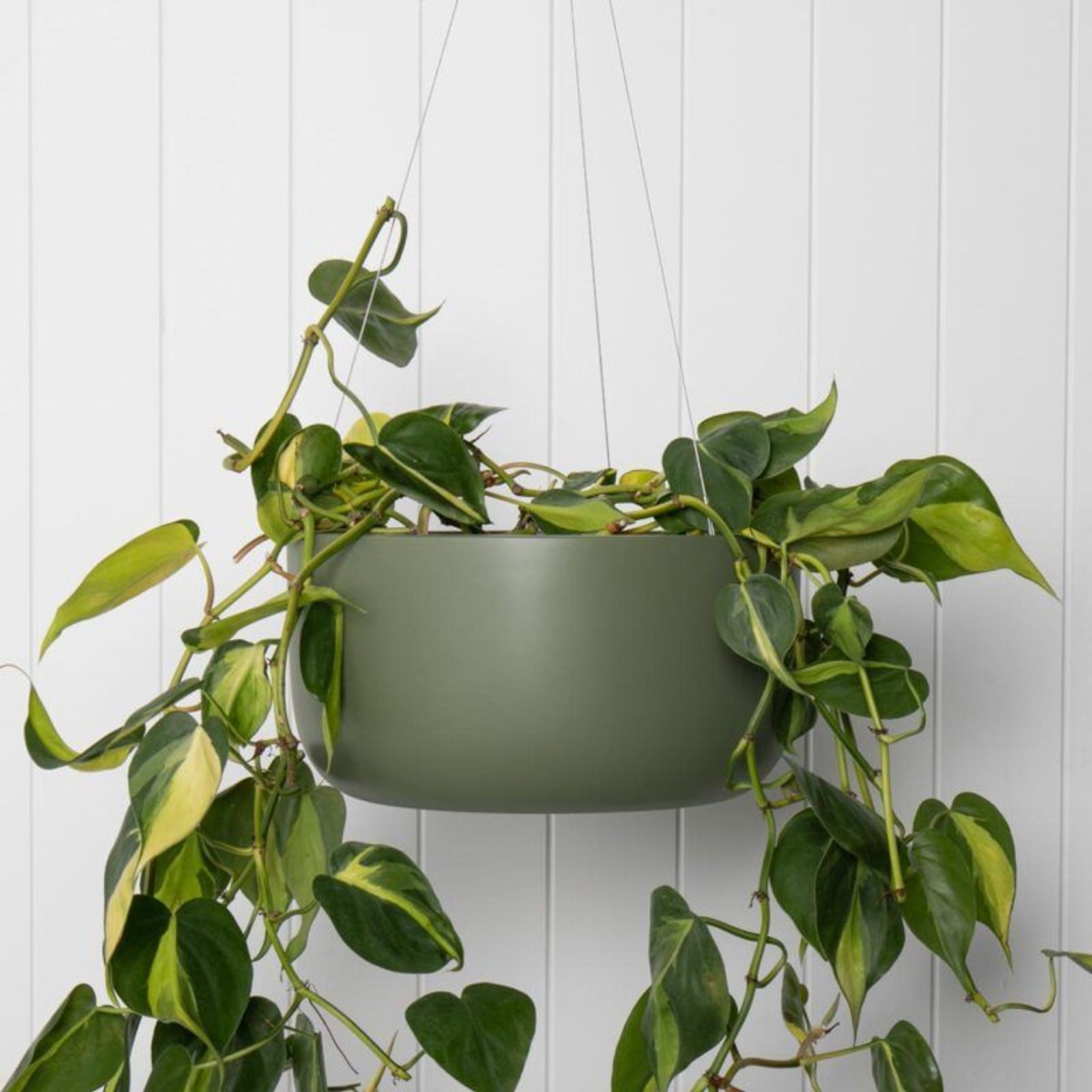 Oslo Hanger gallery detail image