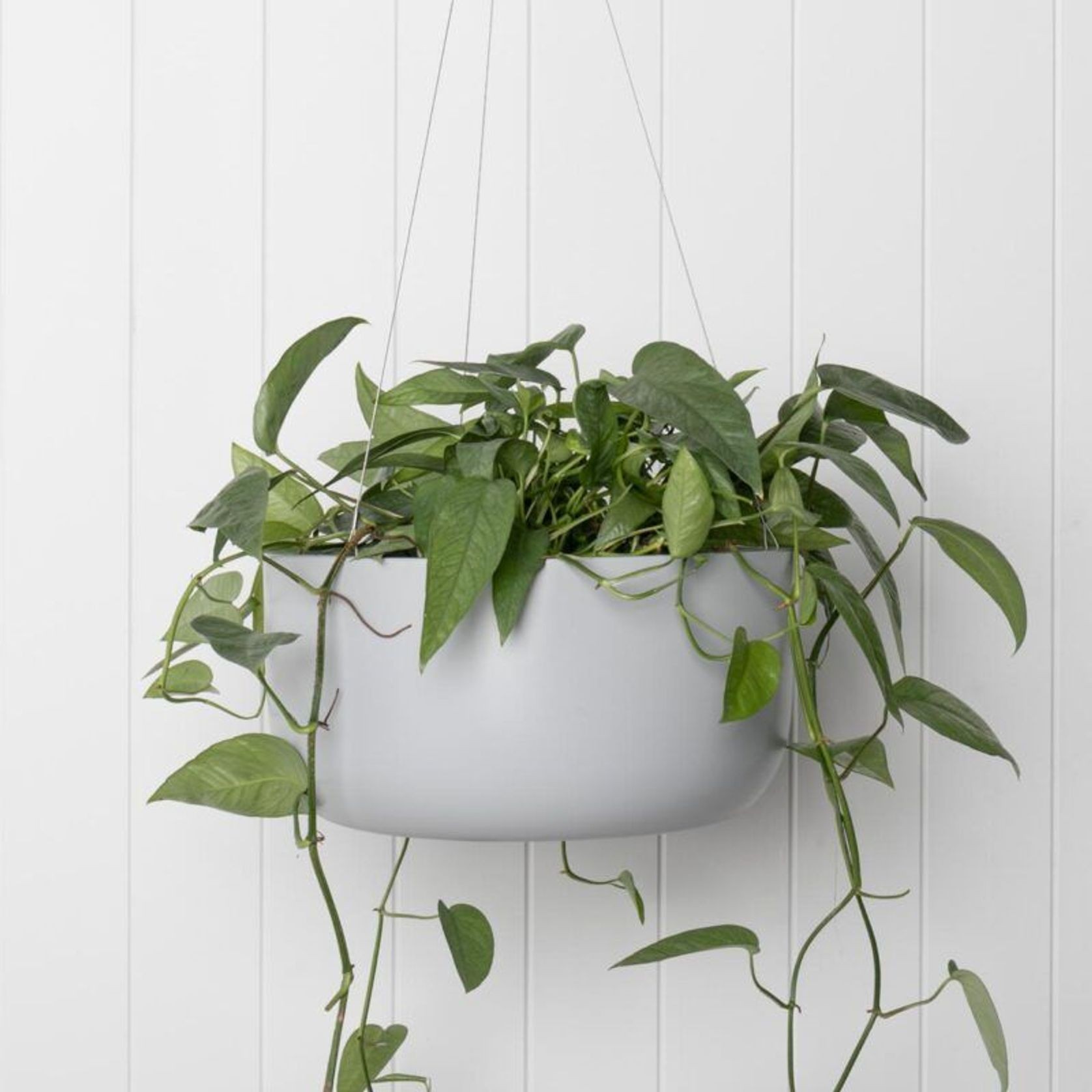 Oslo Hanger gallery detail image